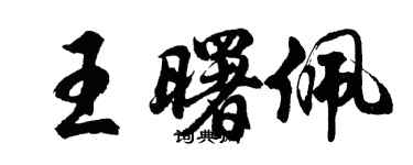 胡問遂王曙佩行書個性簽名怎么寫