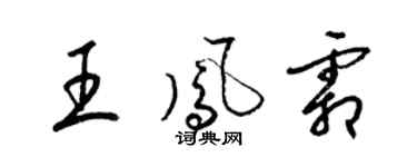 梁錦英王鳳霜草書個性簽名怎么寫