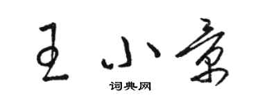 駱恆光王小景草書個性簽名怎么寫