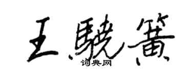 王正良王驍簧行書個性簽名怎么寫