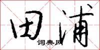 田浦怎么寫好看