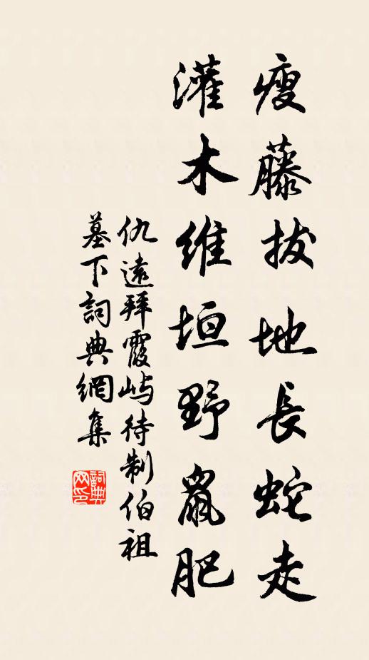 枝葉皆從一本生，源源本本是天倫 詩詞名句