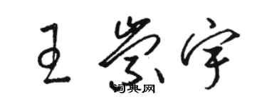 駱恆光王崇宇草書個性簽名怎么寫