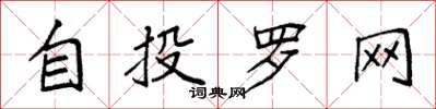 袁強自投羅網楷書怎么寫