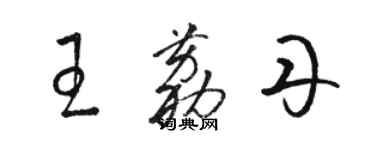 駱恆光王荔丹草書個性簽名怎么寫