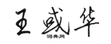 駱恆光王或華行書個性簽名怎么寫