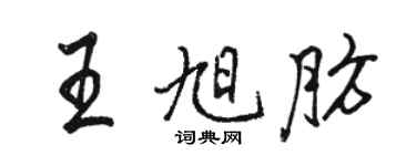 駱恆光王旭肪行書個性簽名怎么寫