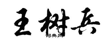 胡問遂王樹兵行書個性簽名怎么寫