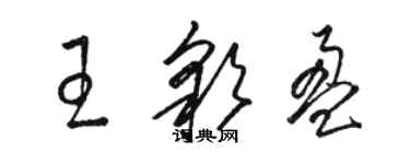 駱恆光王彩盈草書個性簽名怎么寫