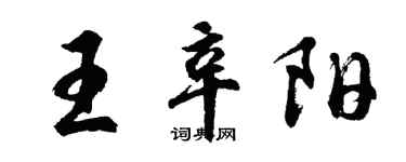 胡問遂王辛陽行書個性簽名怎么寫