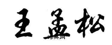 胡問遂王孟松行書個性簽名怎么寫