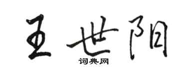 駱恆光王世陽行書個性簽名怎么寫