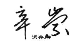 駱恆光辛崇草書個性簽名怎么寫