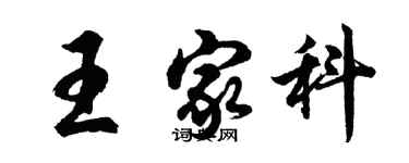 胡問遂王家科行書個性簽名怎么寫