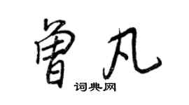 王正良曾凡行書個性簽名怎么寫