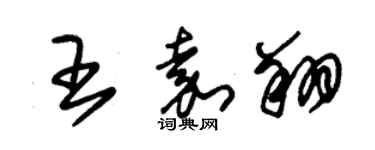 朱錫榮王嘉翔草書個性簽名怎么寫