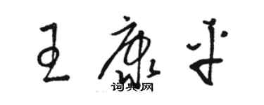 駱恆光王康平草書個性簽名怎么寫