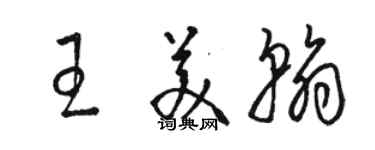 駱恆光王美翰草書個性簽名怎么寫