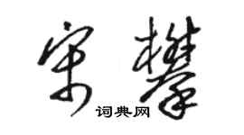 駱恆光宋攀草書個性簽名怎么寫