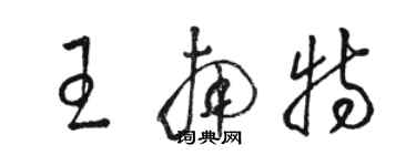 駱恆光王南特草書個性簽名怎么寫