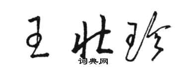駱恆光王壯珍草書個性簽名怎么寫