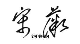 駱恆光宋薇草書個性簽名怎么寫