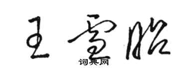 駱恆光王雪昭草書個性簽名怎么寫