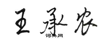 駱恆光王承農行書個性簽名怎么寫