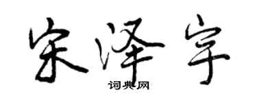 曾慶福宋澤宇行書個性簽名怎么寫