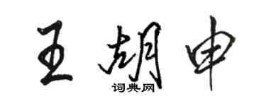 駱恆光王胡申行書個性簽名怎么寫