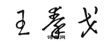 駱恆光王秦戈草書個性簽名怎么寫