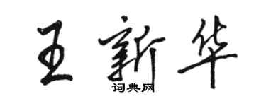 駱恆光王新華行書個性簽名怎么寫