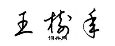 梁錦英王樹年草書個性簽名怎么寫