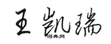 駱恆光王凱瑞行書個性簽名怎么寫