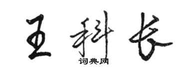 駱恆光王科長行書個性簽名怎么寫