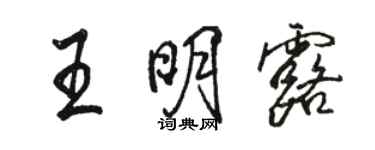 駱恆光王明露行書個性簽名怎么寫