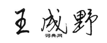 駱恆光王成野行書個性簽名怎么寫