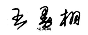 朱錫榮王曼栩草書個性簽名怎么寫