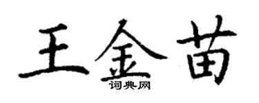 丁謙王金苗楷書個性簽名怎么寫