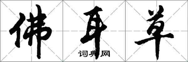 胡問遂佛耳草行書怎么寫