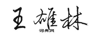 駱恆光王雄林行書個性簽名怎么寫