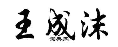胡問遂王成沫行書個性簽名怎么寫