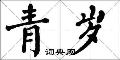 翁闓運青歲楷書怎么寫