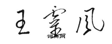 駱恆光王靈風草書個性簽名怎么寫