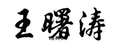 胡問遂王曙濤行書個性簽名怎么寫