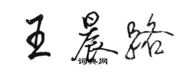 駱恆光王晨路行書個性簽名怎么寫