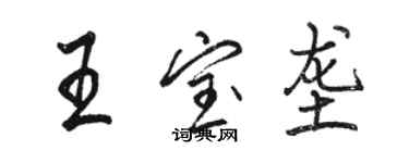 駱恆光王寶壟行書個性簽名怎么寫