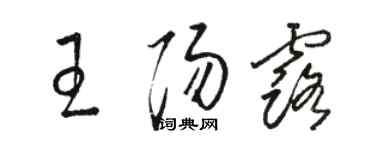 駱恆光王陽露草書個性簽名怎么寫