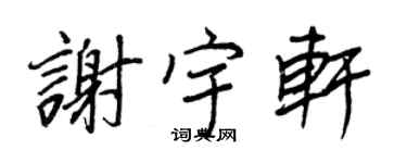 王正良謝宇軒行書個性簽名怎么寫