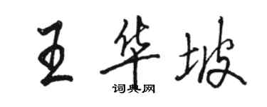 駱恆光王華坡行書個性簽名怎么寫